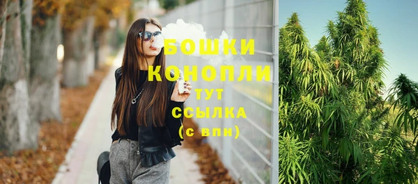 спиды Покачи