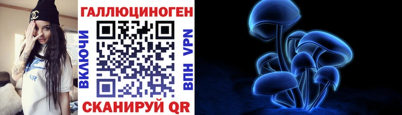 KRAKEN онион Ардон Псилоцибиновые грибы Psilocybe